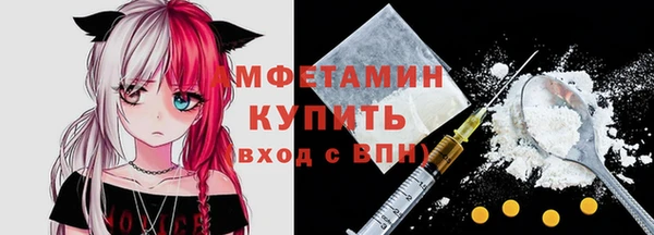 эйфоретик Ельня