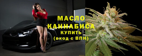 дмт Елизово