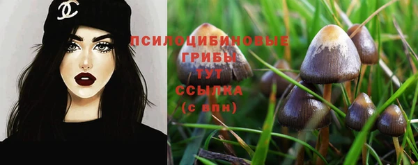 шишки Елабуга
