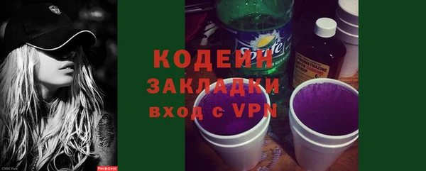 дмт Елизово