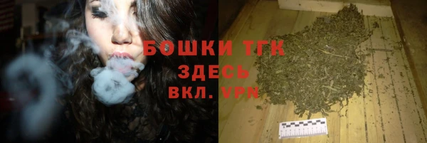 шишки Елабуга