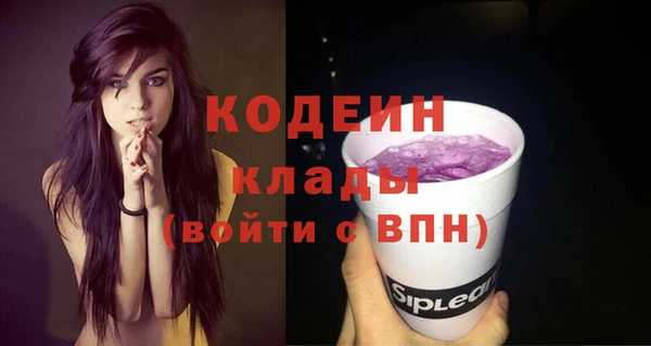 эйфоретик Ельня