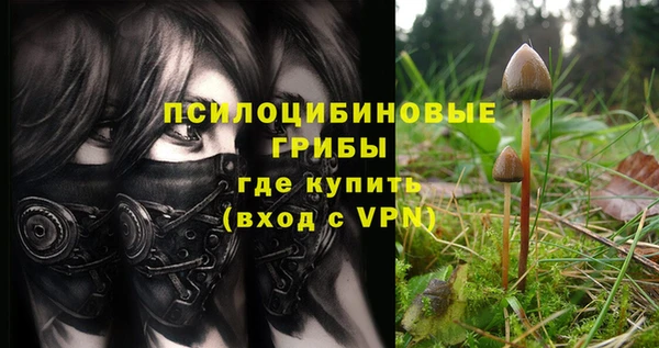 эйфоретик Ельня