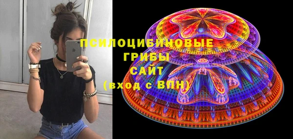 эйфоретик Ельня
