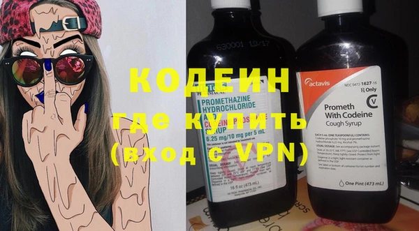 шишки Елабуга