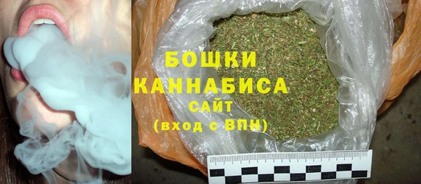 шишки Елабуга