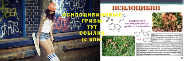 шишки Елабуга