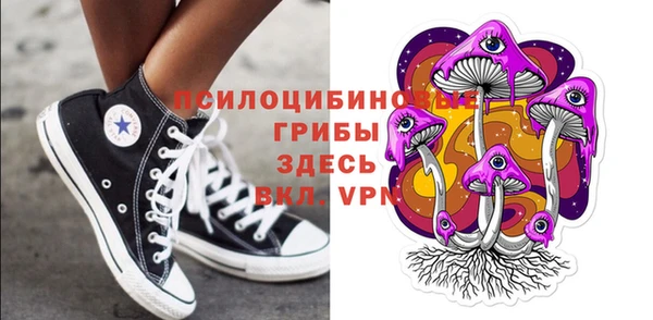 дмт Елизово