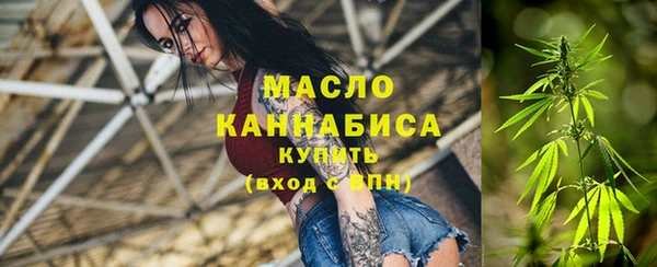 эйфоретик Ельня