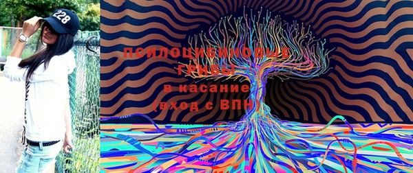 шишки Елабуга