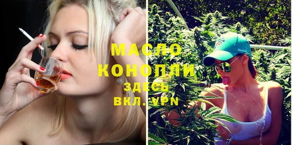 дмт Елизово