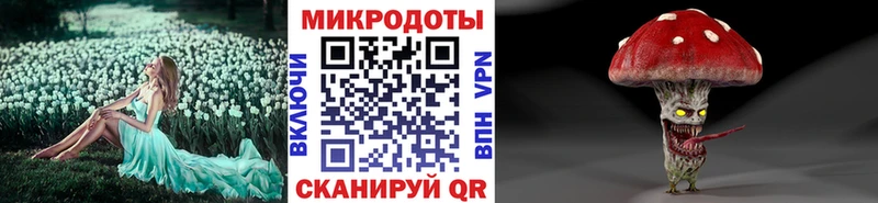 Купить  Жуков  Псилоцибиновые грибы Cubensis 